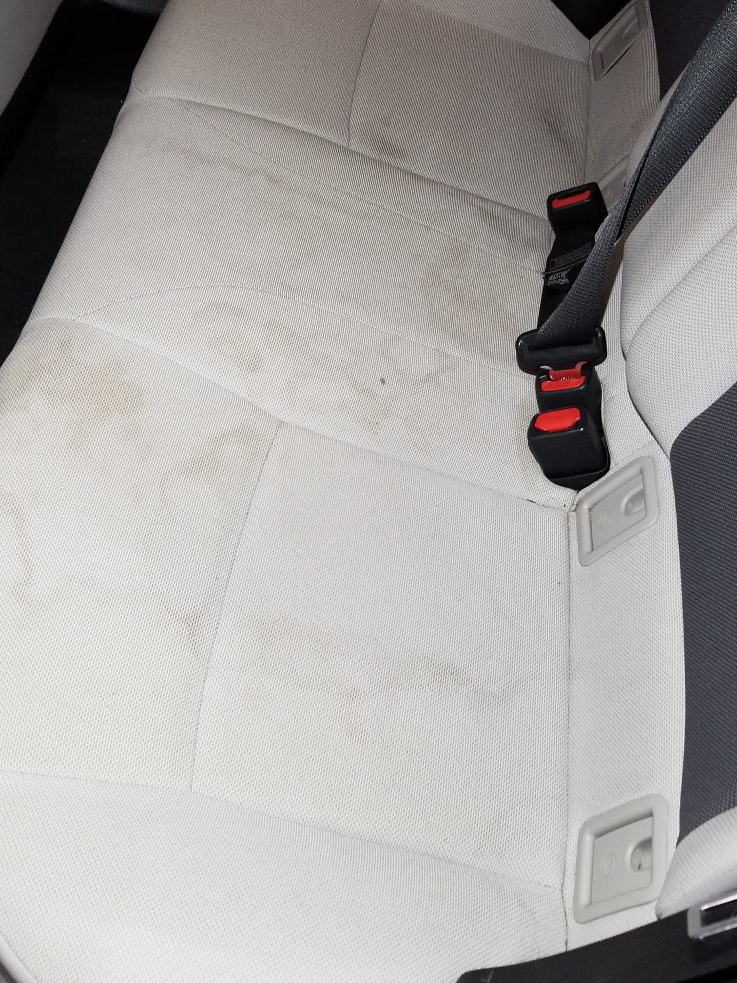 The back seat of a car with a seat belt on it.