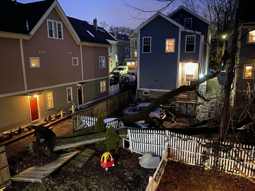 Tree fallen on cars in a residential area at dusk. Houses on either side with lit windows, and a white picket fence in the foreground.