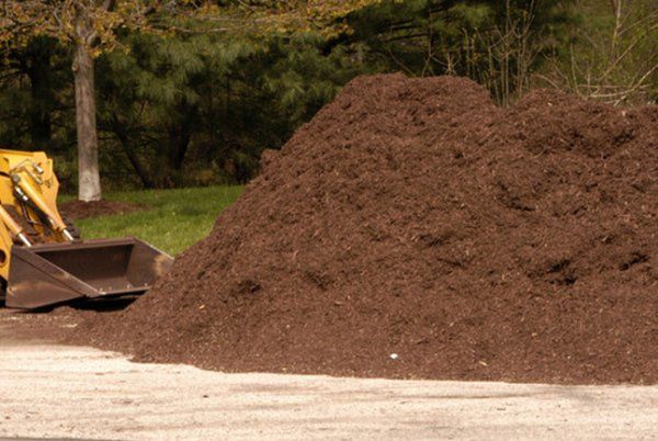 Mulch