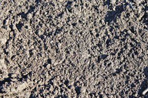 SCREENED TOPSOIL