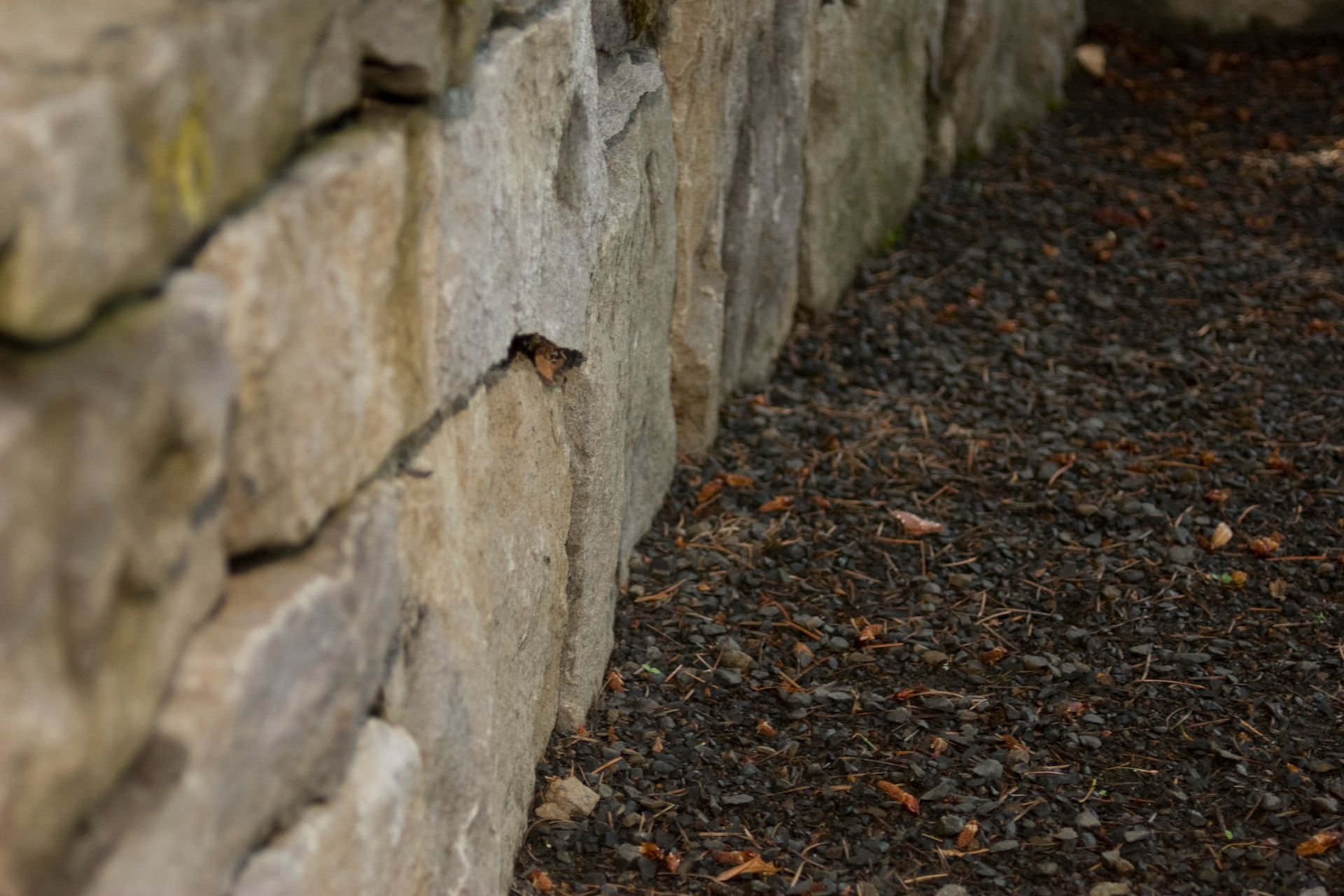 Stone retaining wall beside a gravel path, with weathered gray and tan blocks.