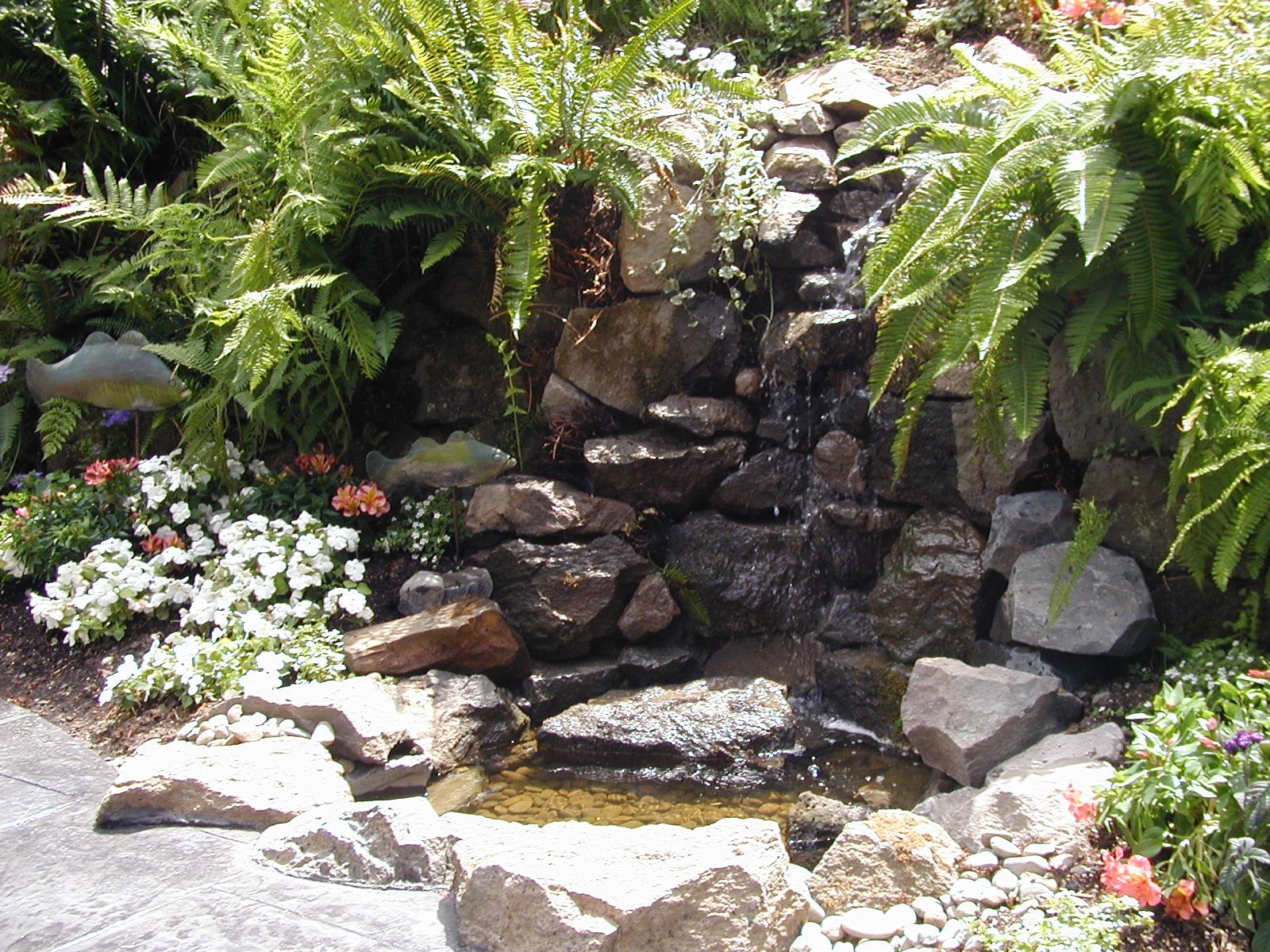 Small garden waterfall with rocks, ferns, and white flowers beside a shallow pond