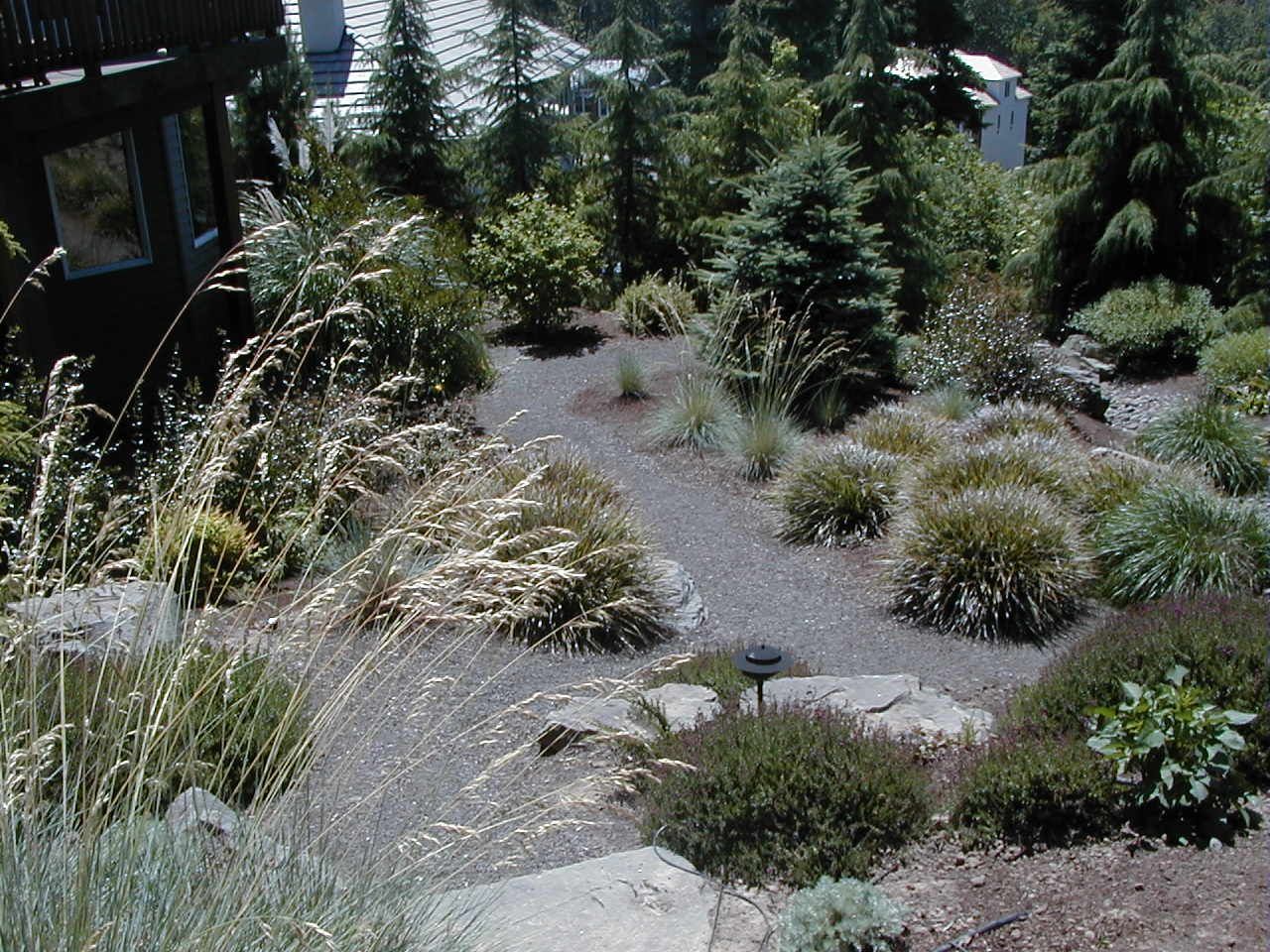 Small landscaped garden with gravel paths, shrubs, and evergreen plants in sunlight