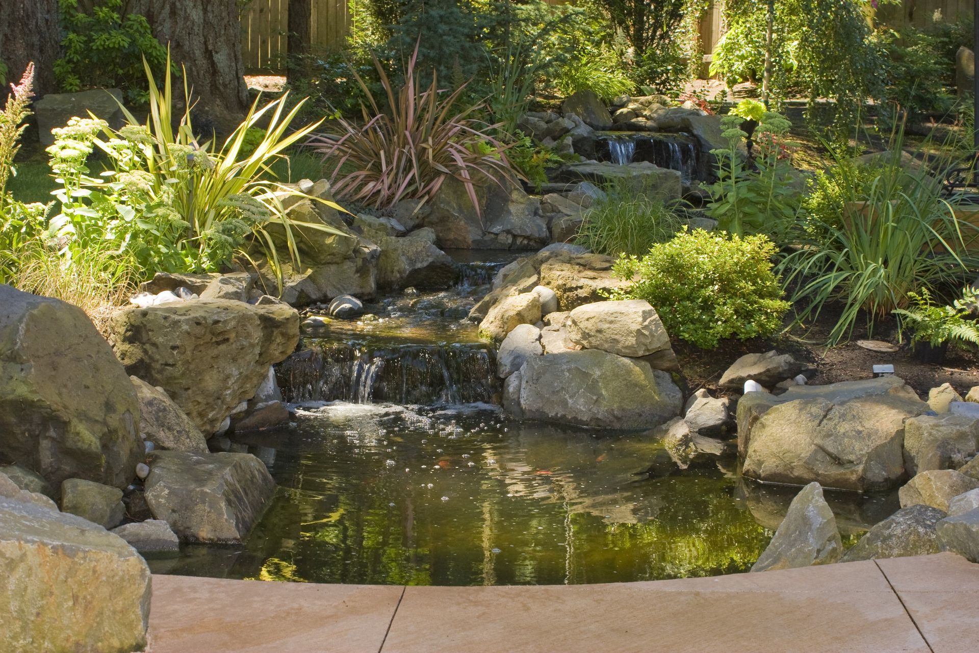 Rock garden pond with small waterfall, mossy stones, and lush green plants under sunlight