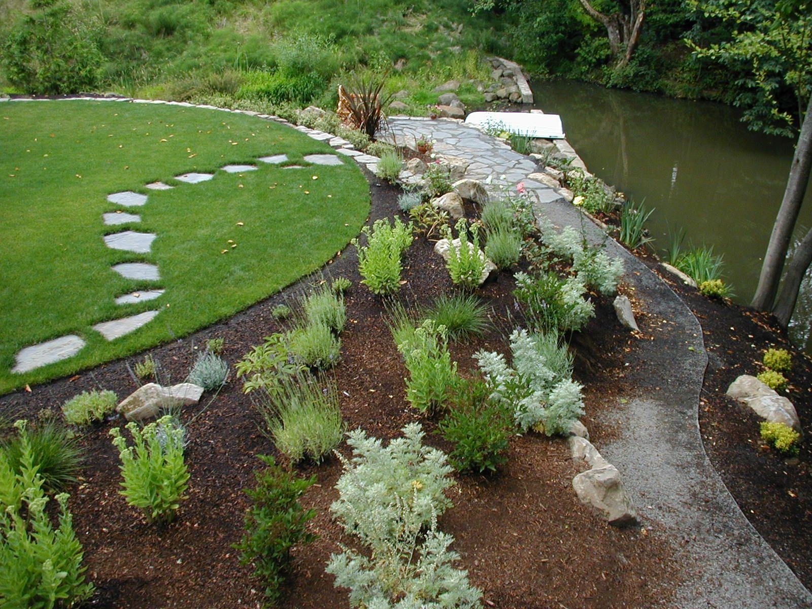 Curved garden path with stepping stones, low shrubs, and a green pond beside a grassy lawn
