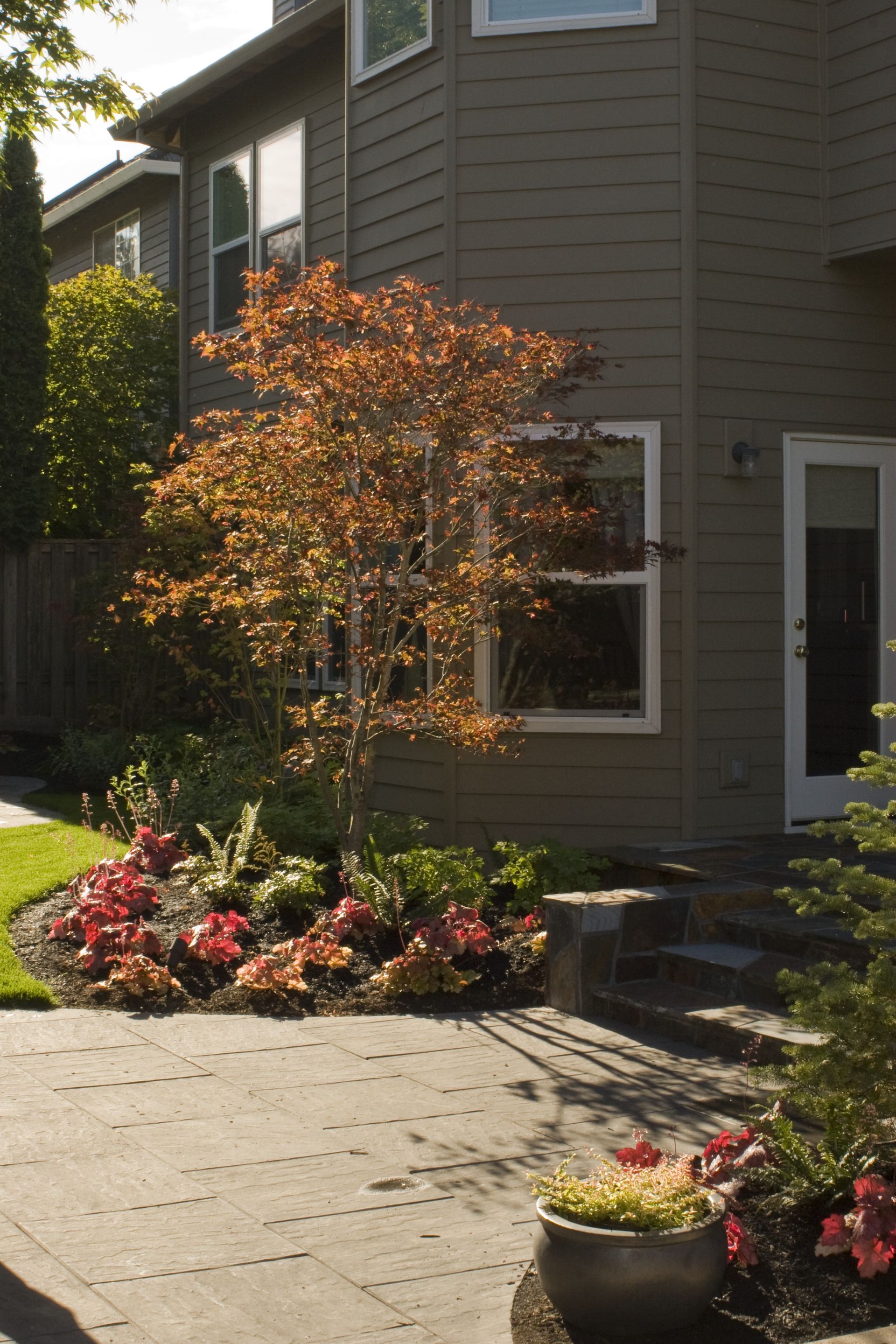 Front porch with potted flowers, a small tree, and a house entrance in sunlight