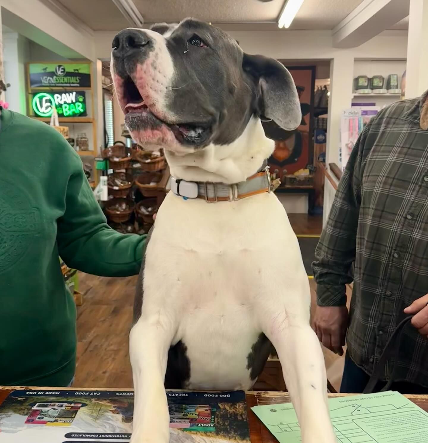 A dog standing on its hind legs in front of a sign that says farm fresh