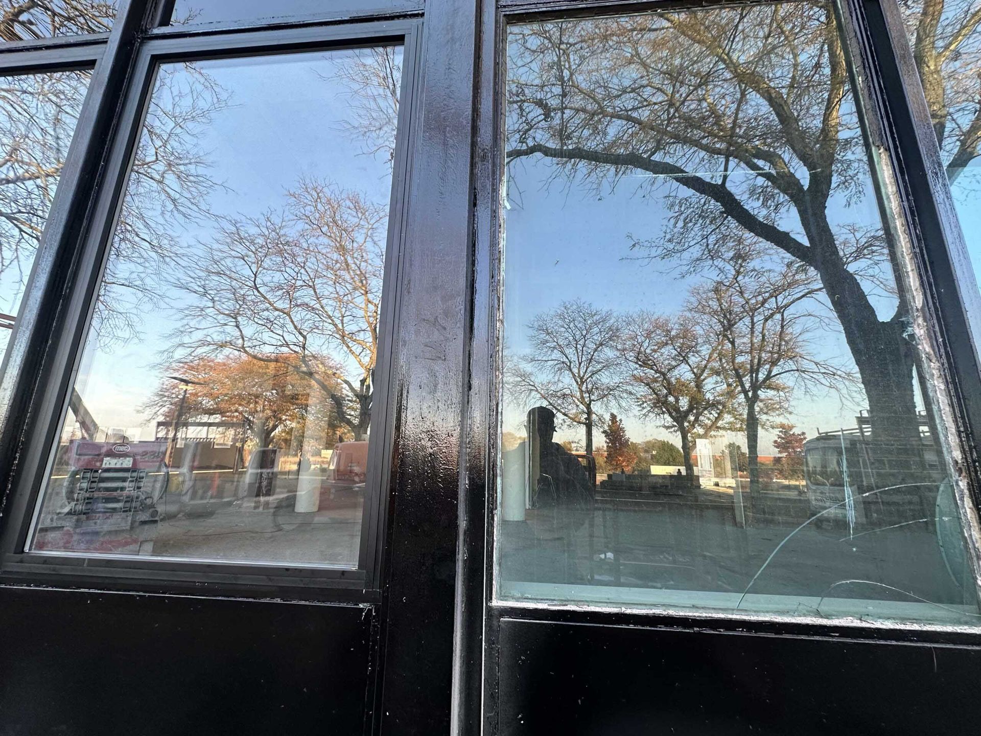 A tree is reflected in the windows of a building.