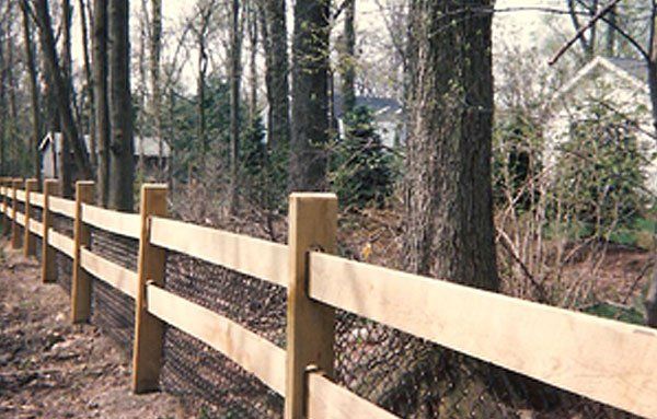 Horse paddock fencing