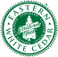 eastern white cedar