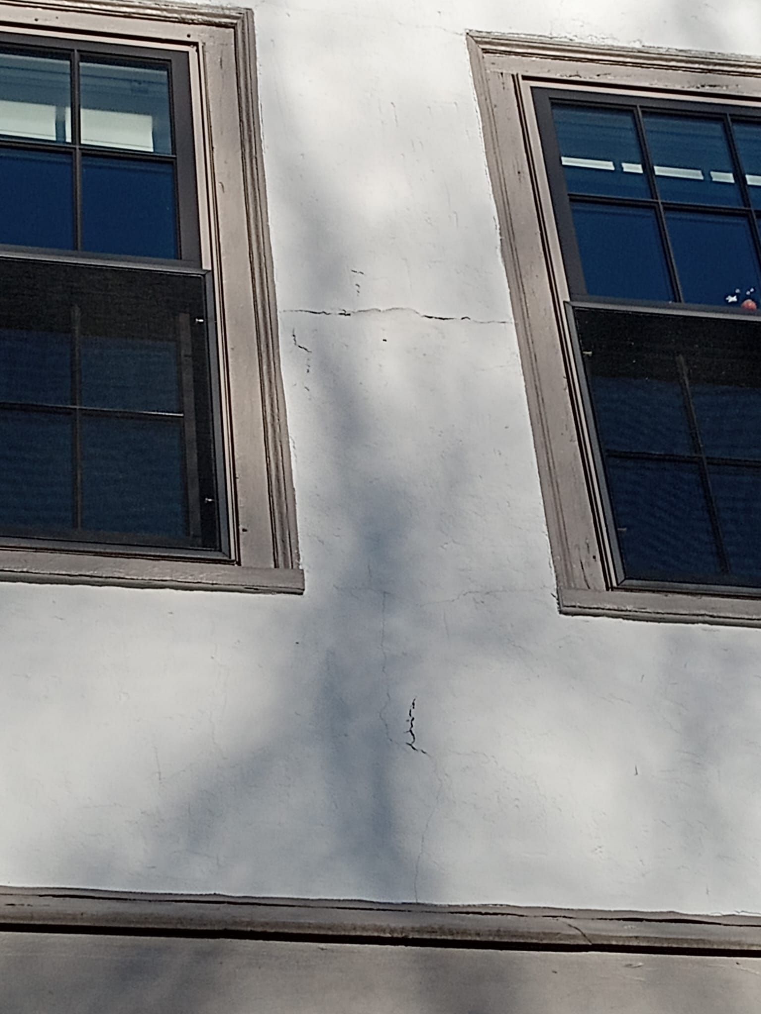 Windows