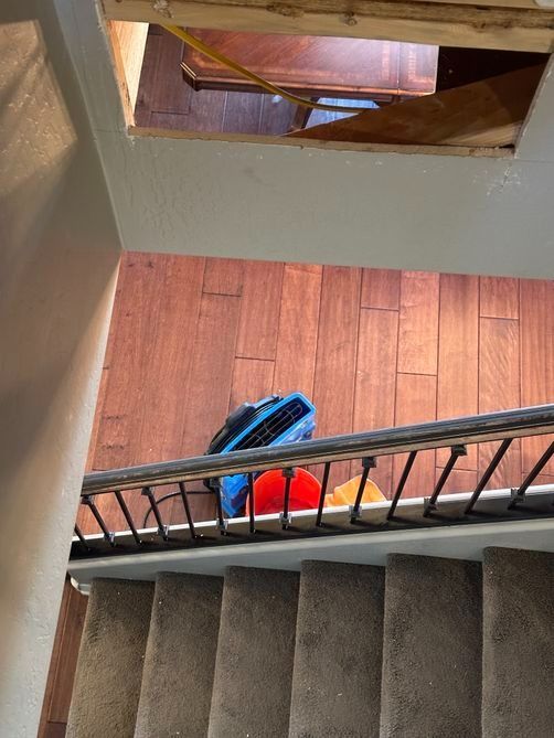 Stairwell with a wooden floor below, gray carpeted stairs, and a blue bag and red ball near the railing.