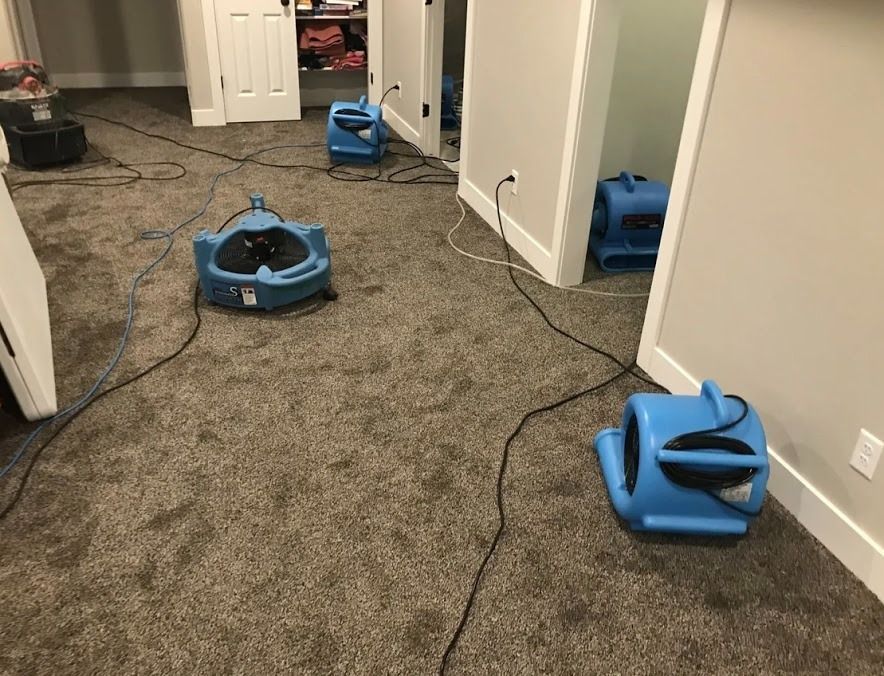 Carpeted hallway with three blue floor-cleaning machines and cables in a home interior.