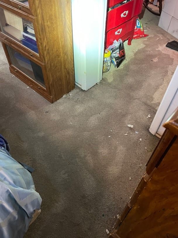 Cluttered carpeted bedroom with dresser, bookshelf, and laundry bag near a doorway.