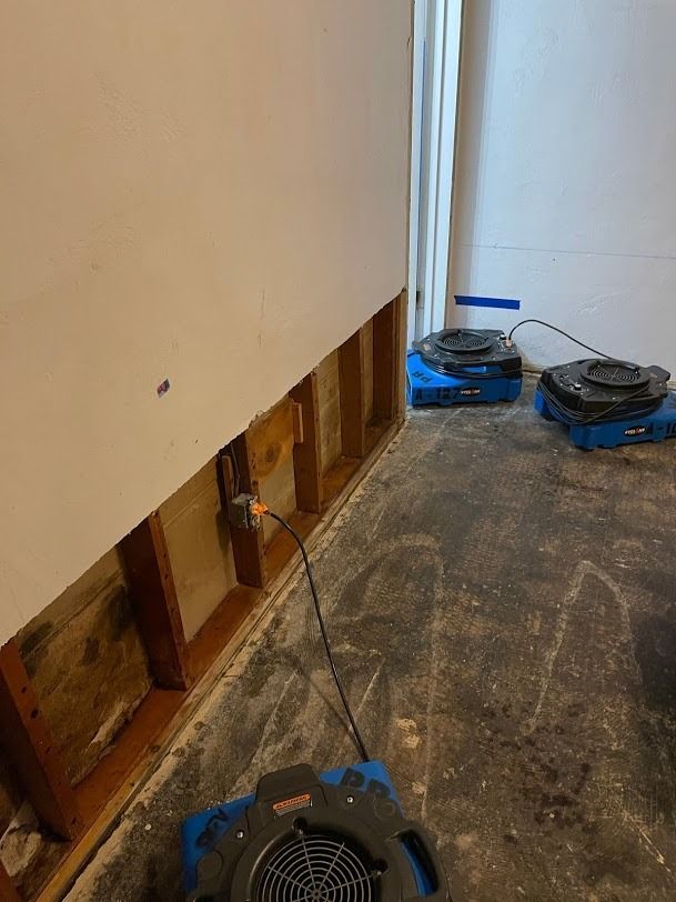 Renovation site with wall cutouts, exposed studs, and two blue robot vacuums on a dusty floor.