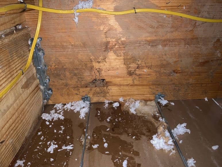 Wet cardboard floor with scattered white debris and yellow straps against a wooden wall