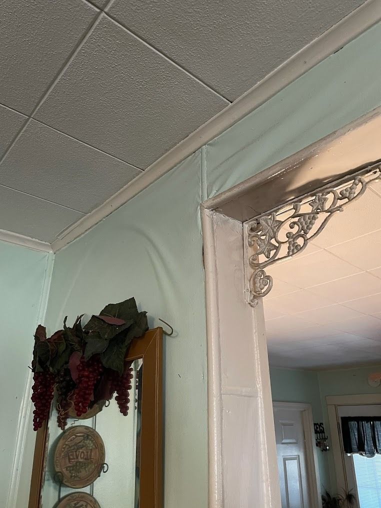 Mint-green interior wall with hanging plant decor beside a doorway with lace trim