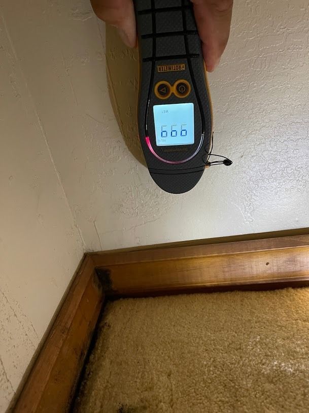 Handheld digital moisture meter reading 66.0 against a wall above a wooden corner trim.