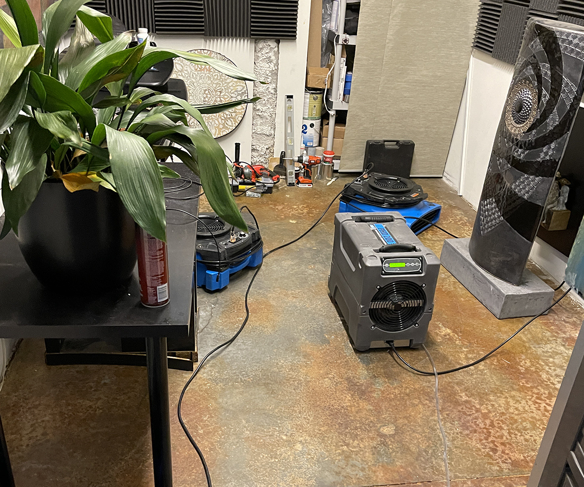 Indoor room with audio gear, a potted plant, and cables on the floor near a speaker and equipment rack