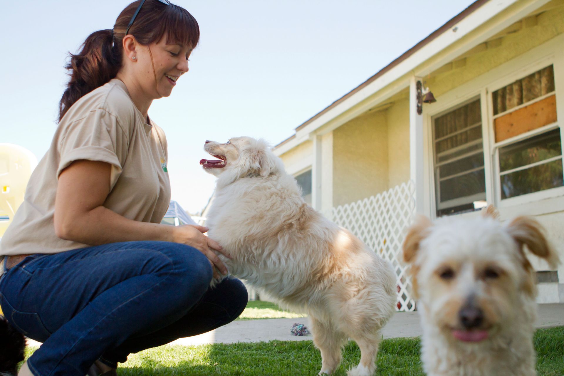 Woman kneeling on grass with two small dogs in front of a house, one dog close to the camera.