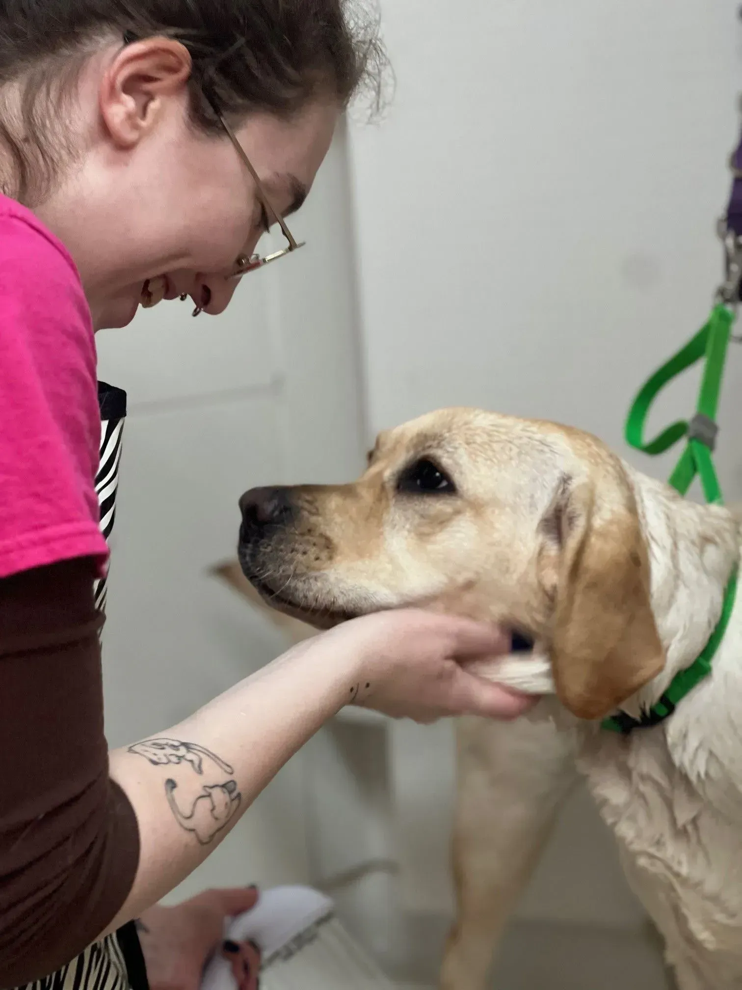 Woman smiling at a yellow lab, gently holding its chin indoors during grooming
