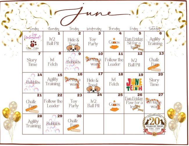June floral planner calendar with gold accents and balloons, showing daily events and summer themes