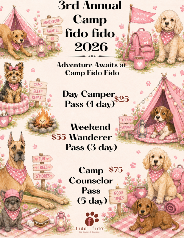 Camp Fido 2026 poster with pink tents and dogs; lists day, weekend, and camp counselor passes.