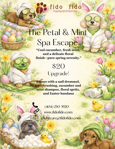 Pet spa escape flyer with pastel bunnies, puppies, eggs, and floral spring-themed decorations