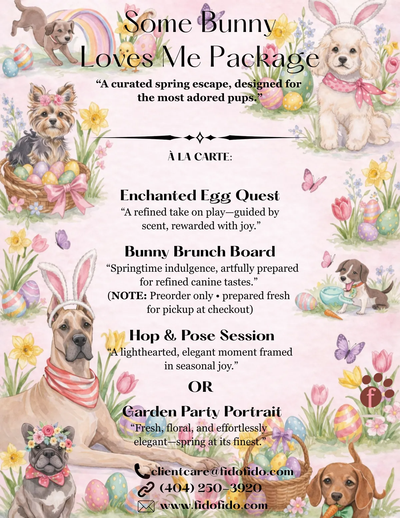 Pastel bunny-themed party flyer with celebration packages, bows, cakes, and balloons