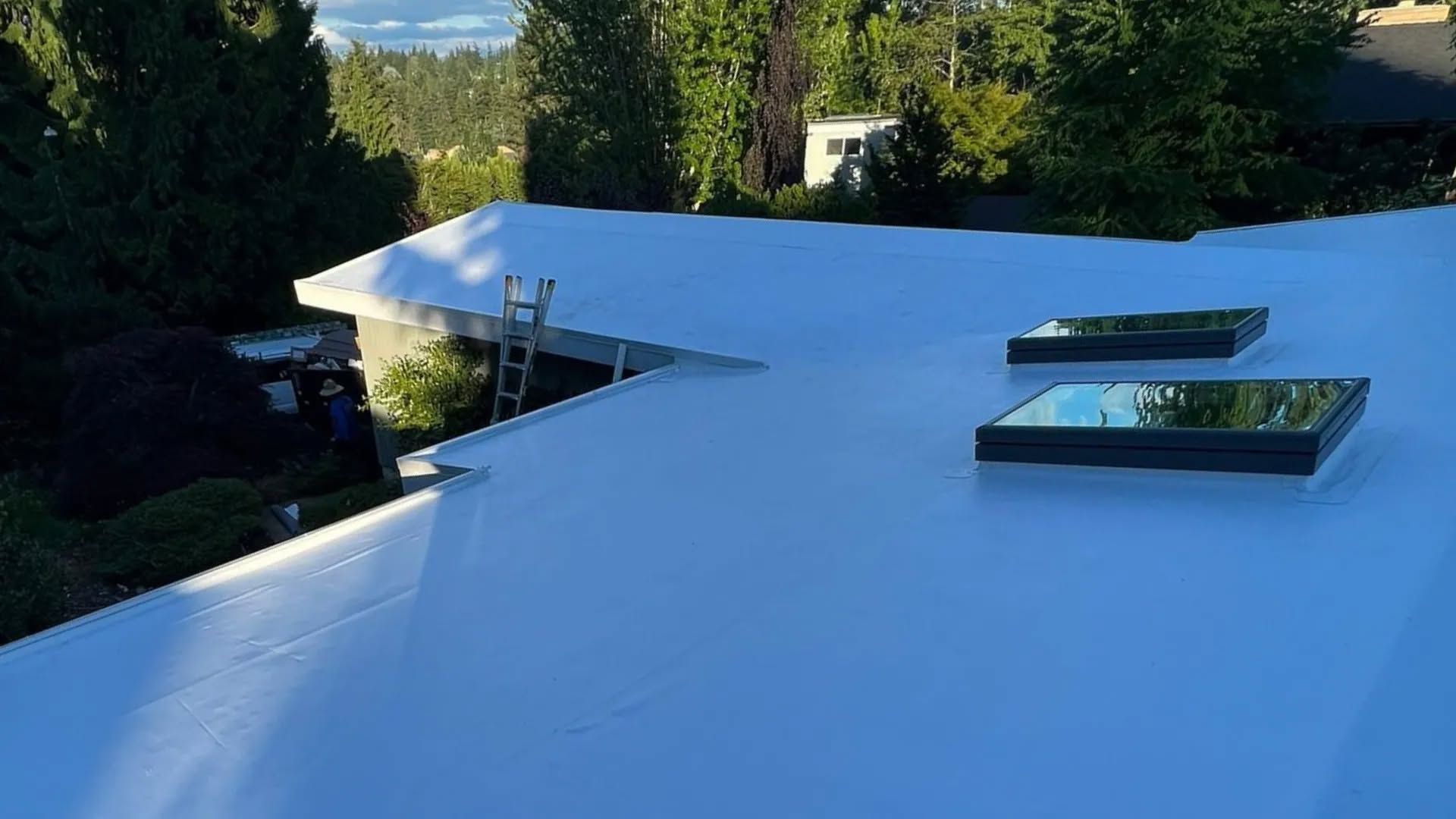 White flat roof with two skylights, trees and a distant view. A ladder is on the roof.