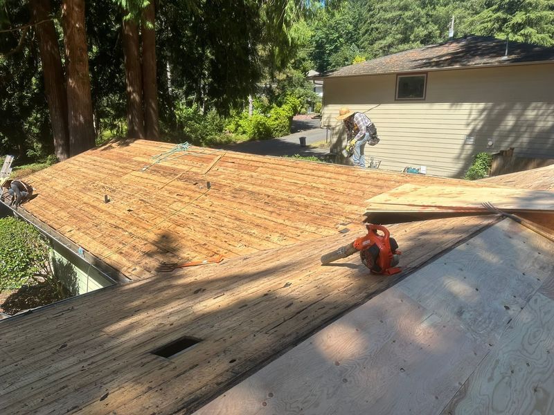 Construction workers removing shingles from a roof. A man using a blower and cutting wood on a sunny day.