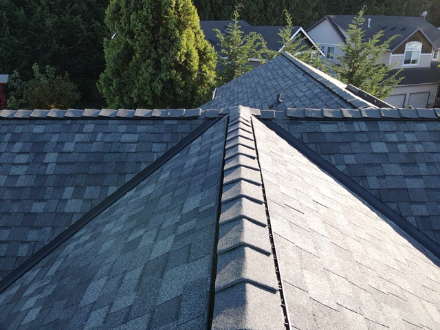 Overhead view of a gray shingle roof with black flashing along the ridge, set against a backdrop of trees.