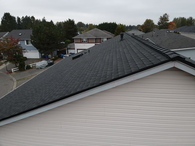 Gray shingled roof of a house, with a light tan wall below. Houses and trees in the background under a cloudy sky.