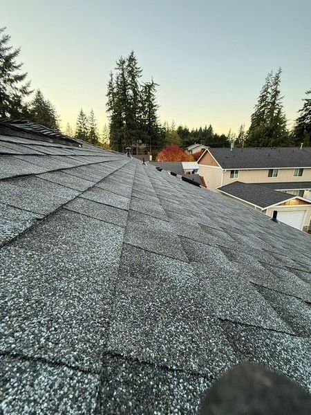 Gray asphalt shingle roof on a house, angled view, tree-lined background, blue sky.