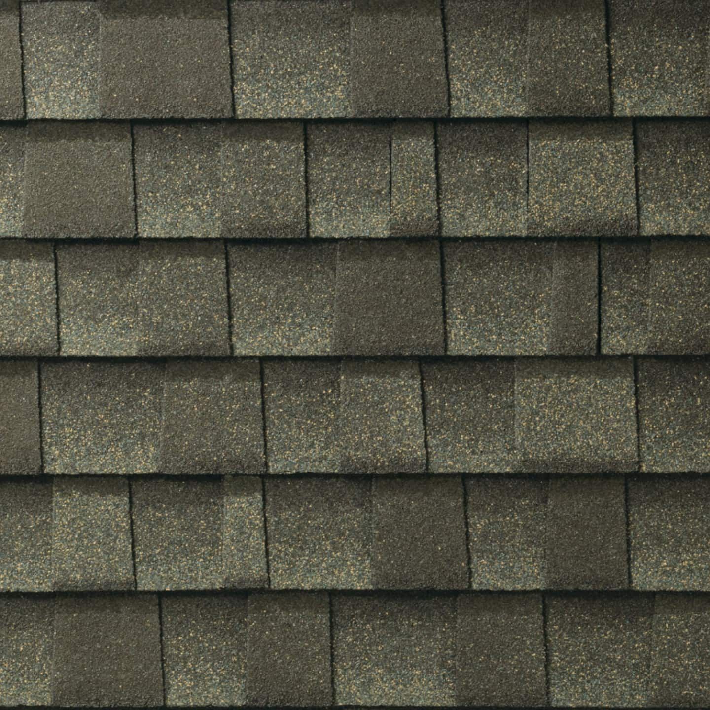 Close-up of weathered gray asphalt roof shingles.
