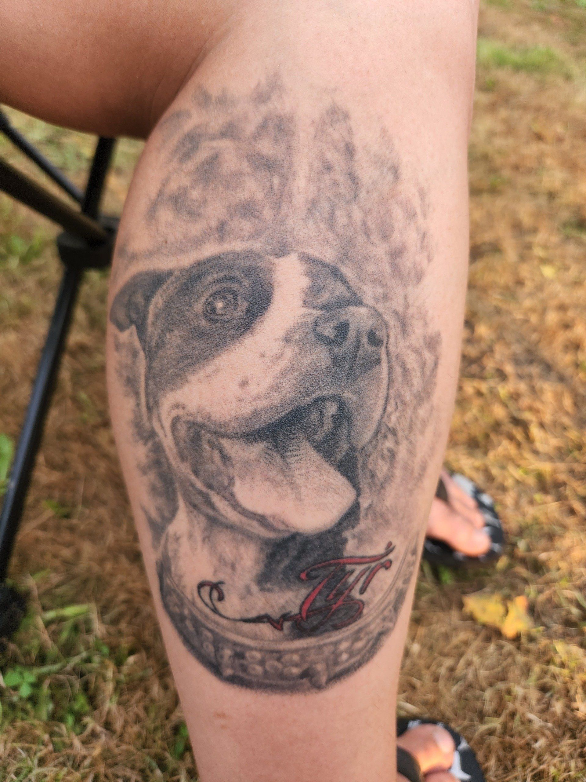 tattoo, tattoo by Melissa Sink, calf tattoo, healed memorial, memorial tattoo, dog portrait, pitbull portrait