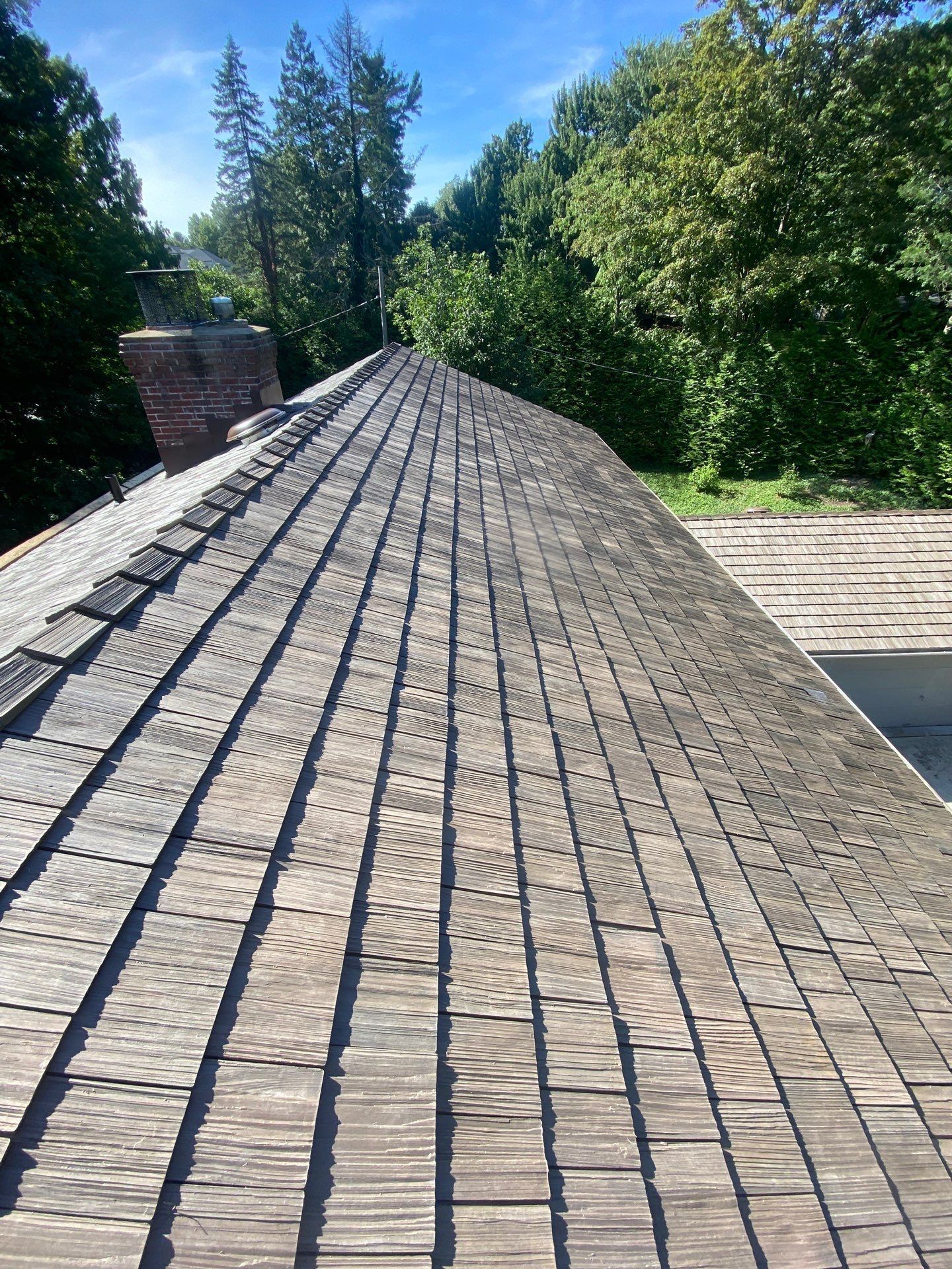 Steep shingled roof with a brick chimney, surrounded by tall trees under a bright blue sky