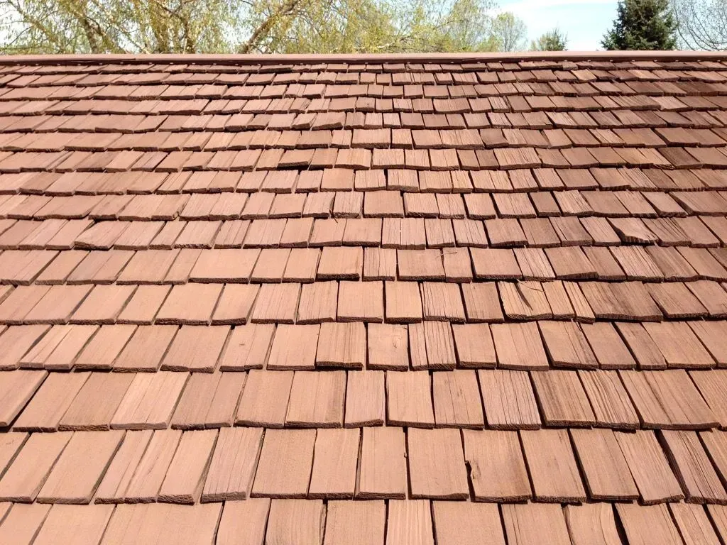 Close-up of a weathered brown shingle roof with trees visible along the top edge