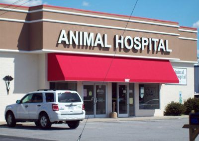 Animal hospital storefront with red awning and a parked silver SUV