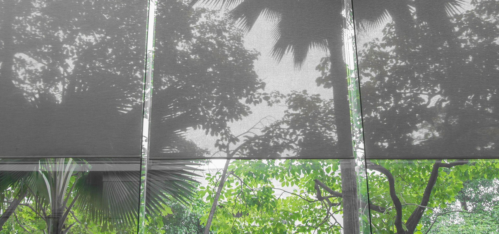 Shadowed trees and shrubs behind a white fence beneath a dark shade canopy