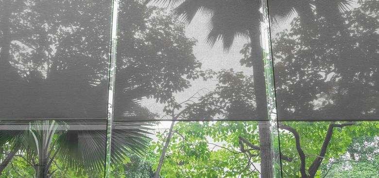 Shadowed trees and shrubs behind a white fence beneath a dark shade canopy