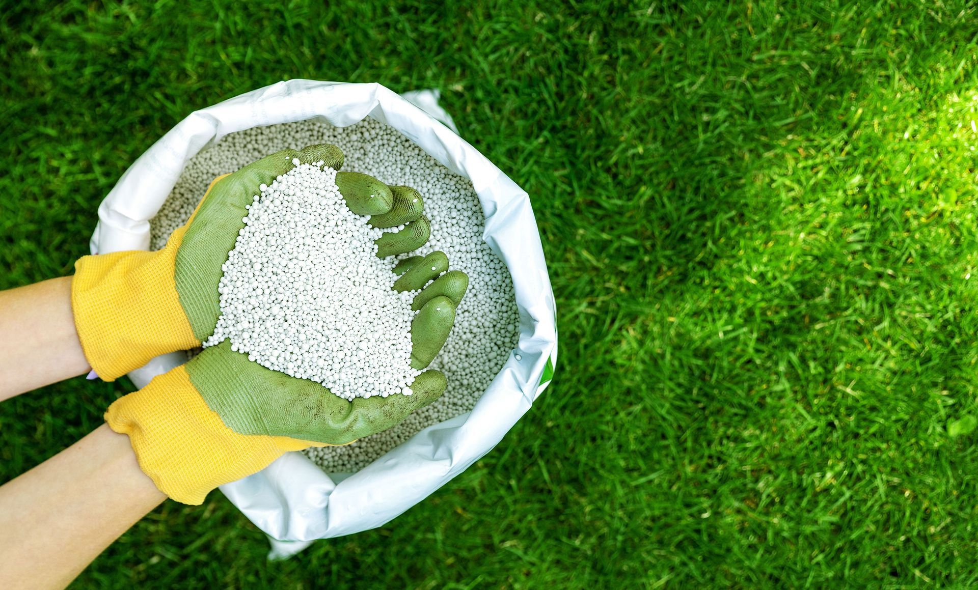 A person is holding a bag of fertilizer in their hands.