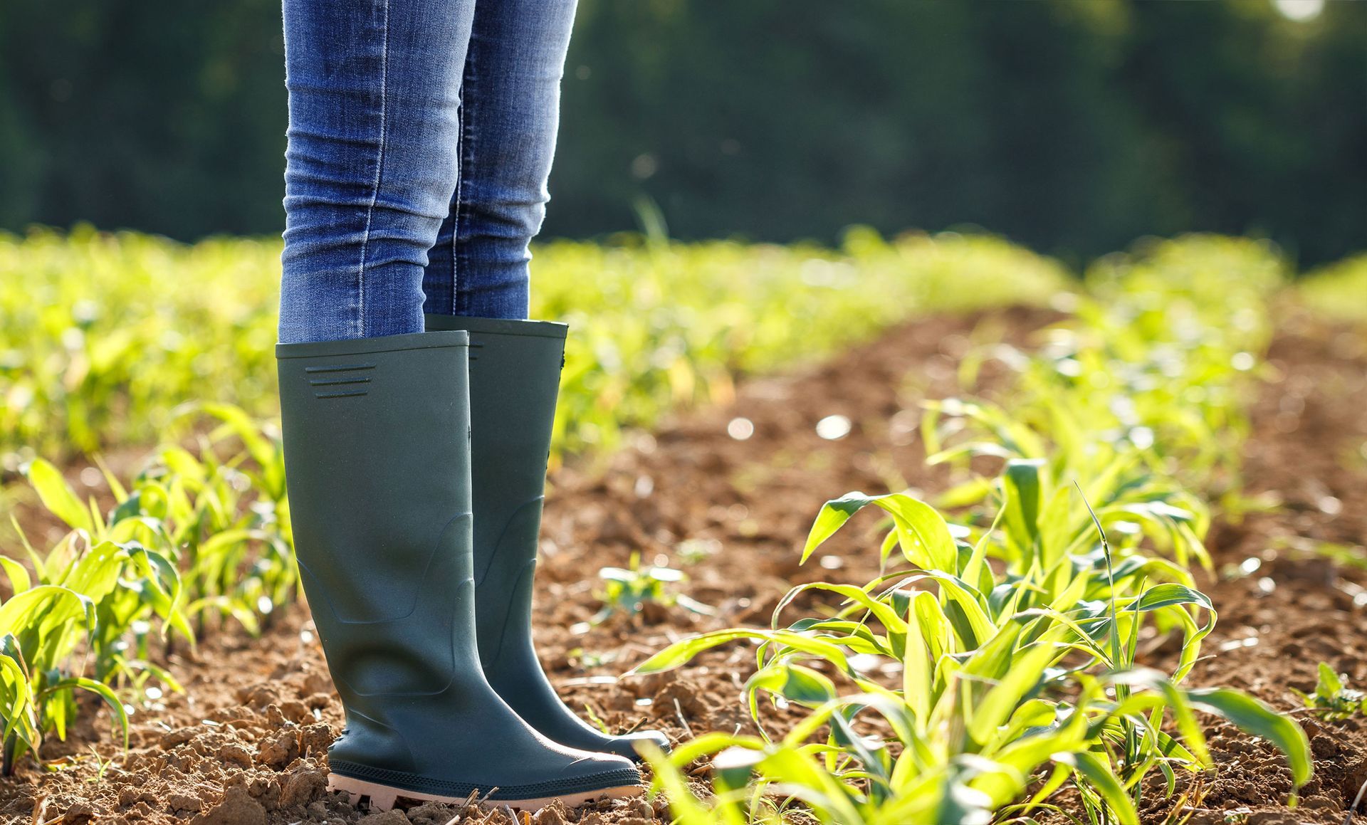 A person wearing rubber boots is standing in a field.