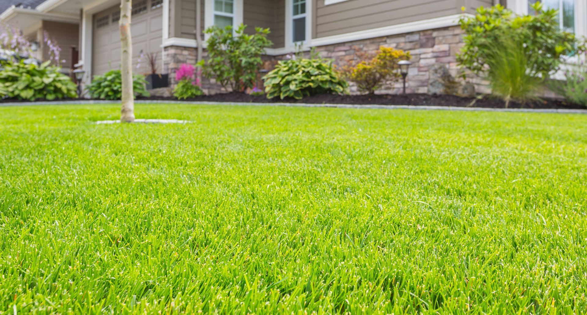 Green, manicured lawn in front of a house with beige siding and stone accents.