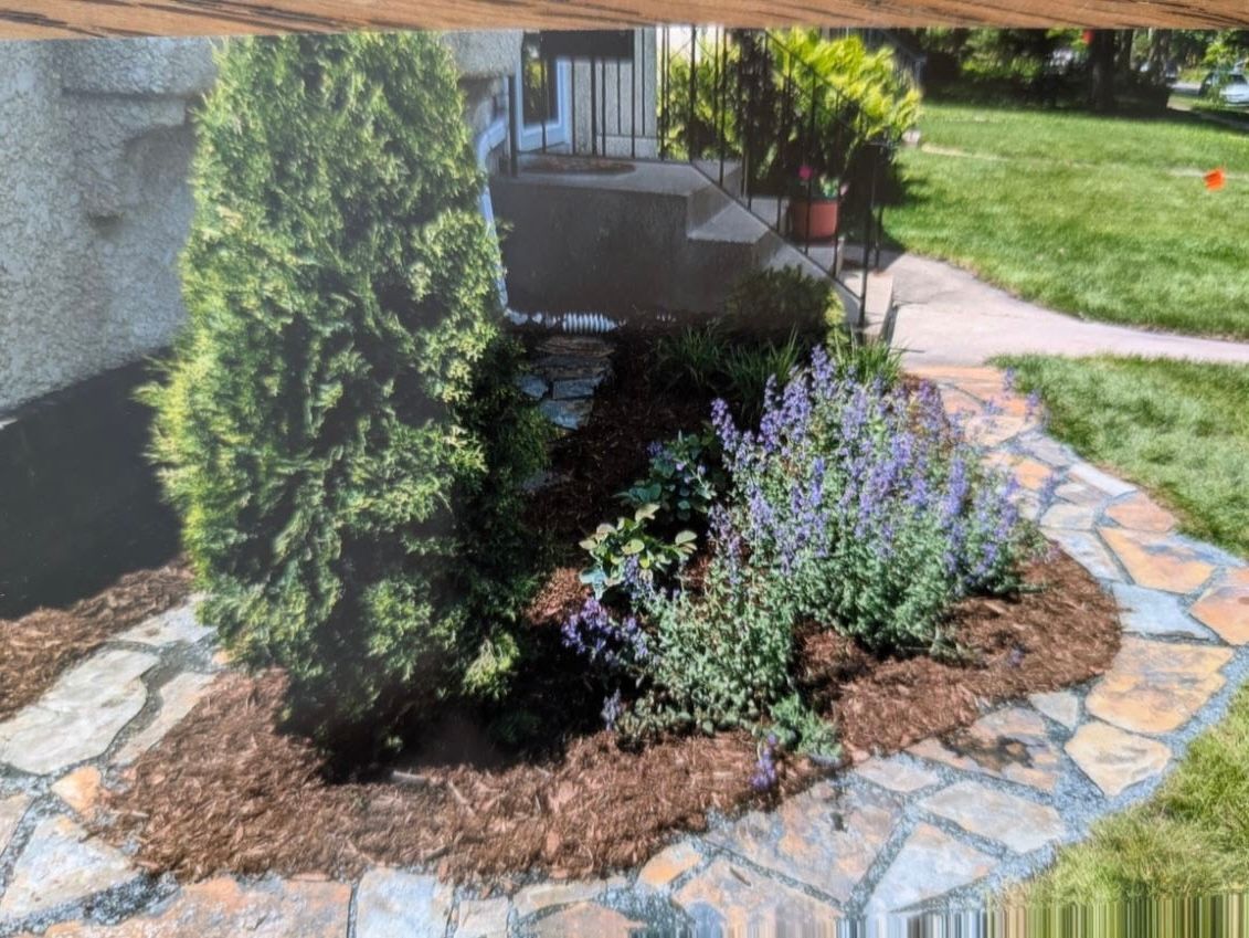 A picture of a garden with flowers and trees