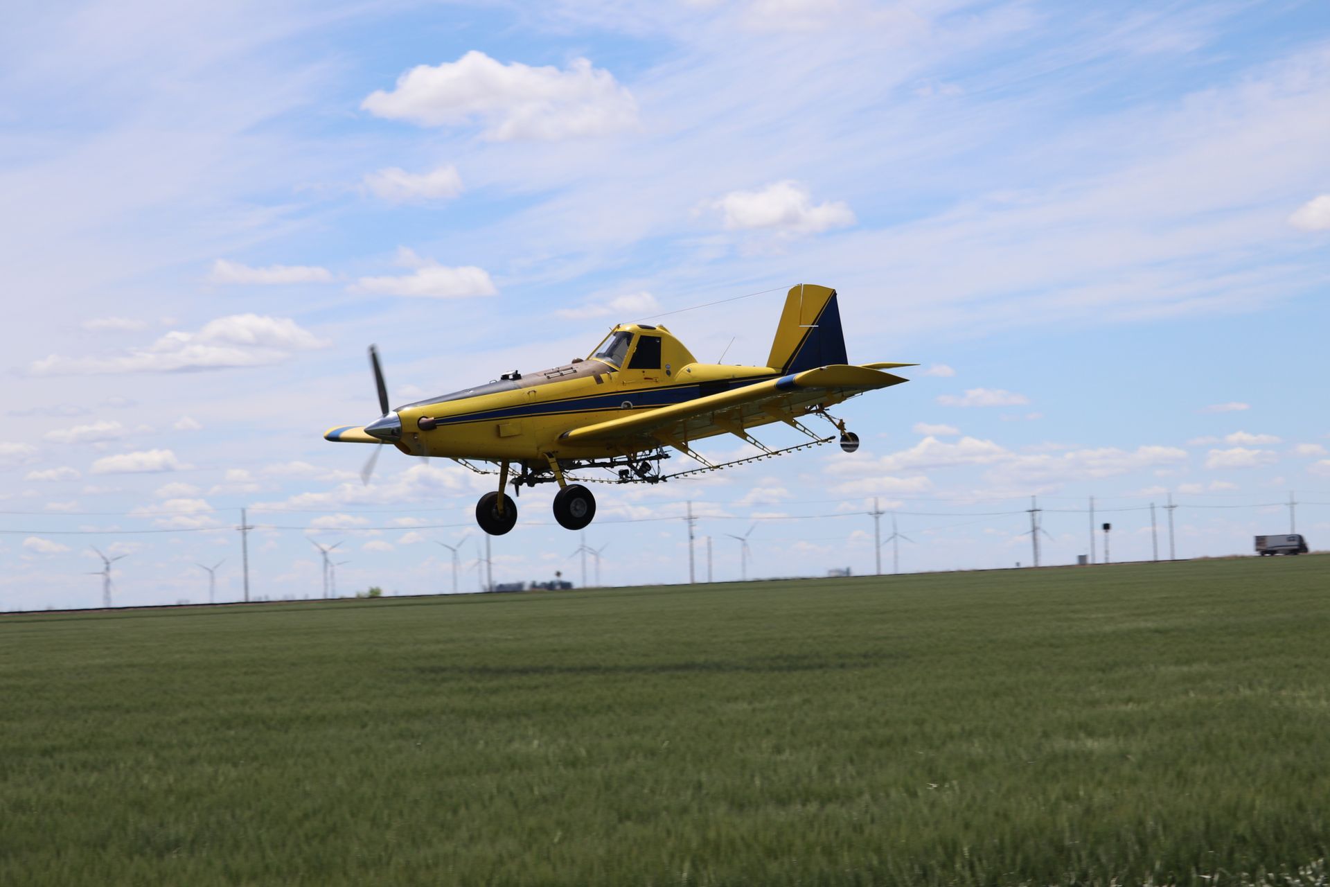 A yellow plane is taking off from a grassy field