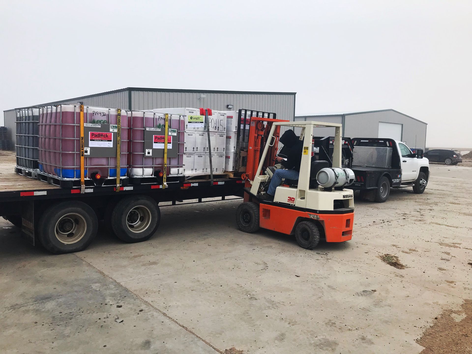 A forklift is loading a truck with barrels on it