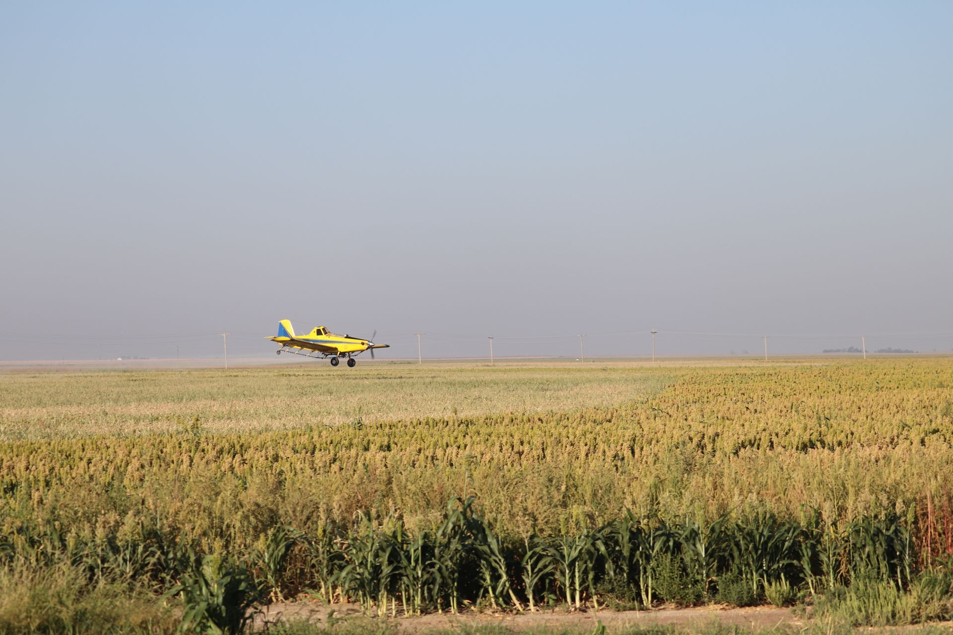 A yellow plane is taking off from a field