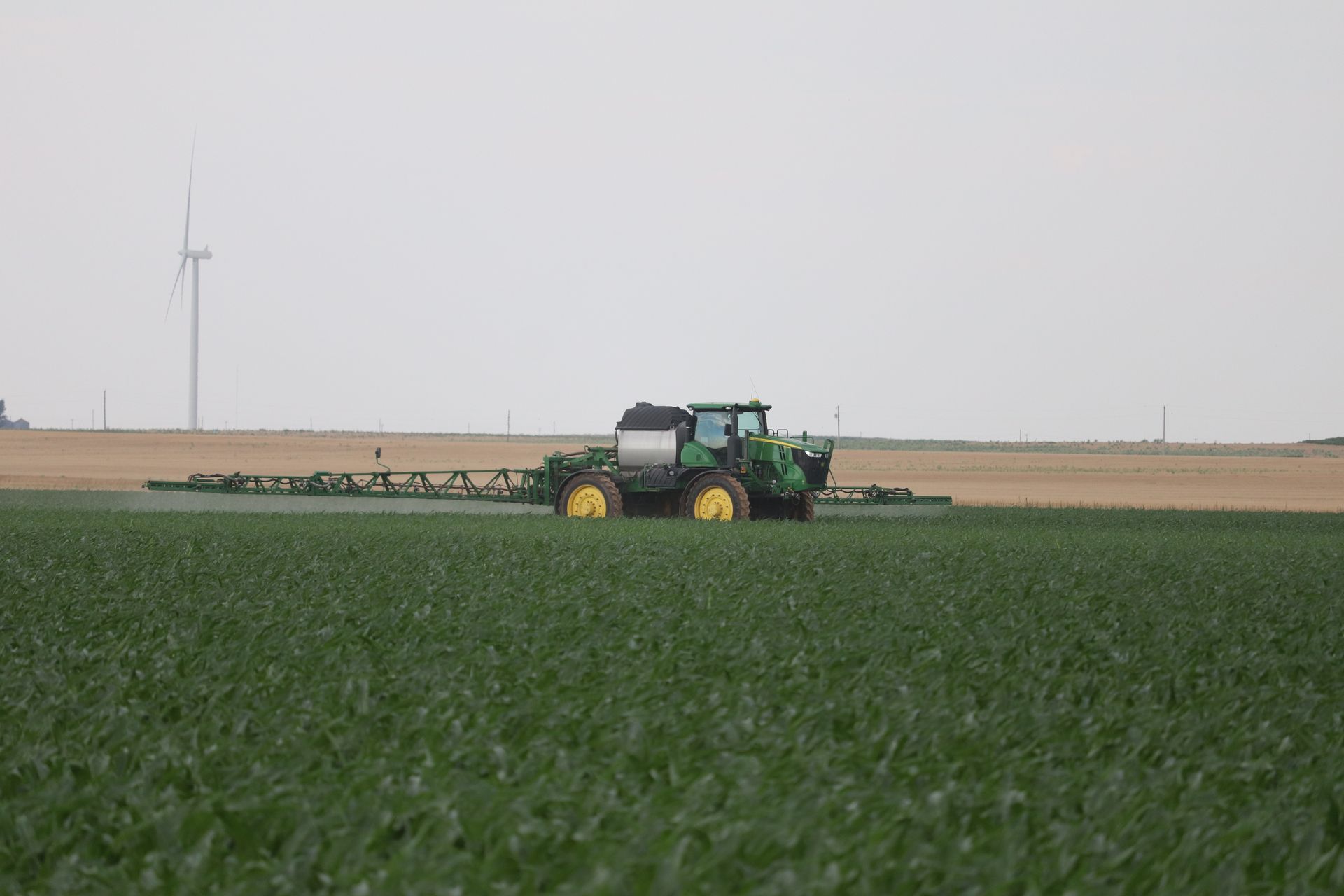 A tractor is spraying a field with a sprayer.