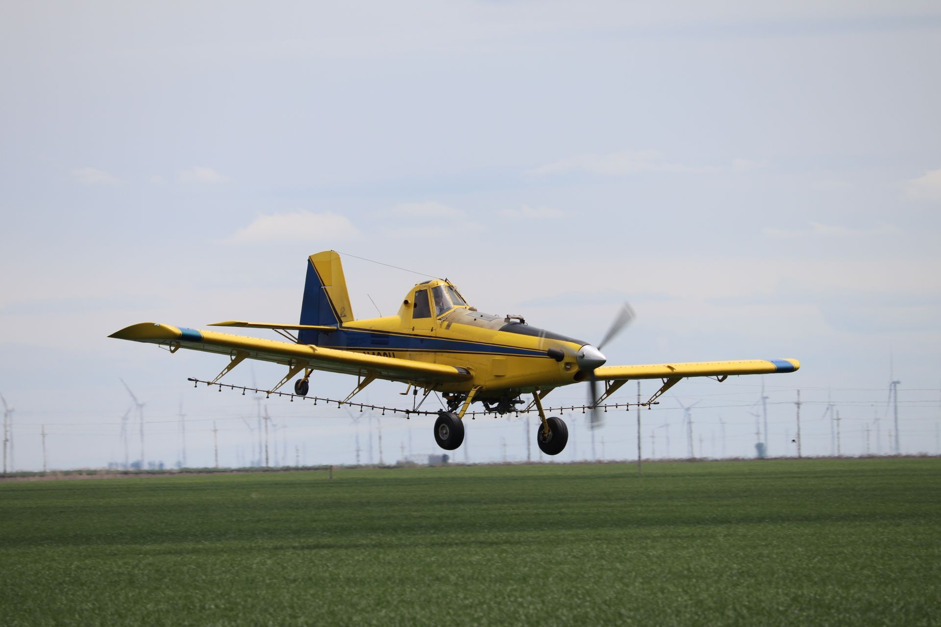 A yellow and blue plane is flying over a field.